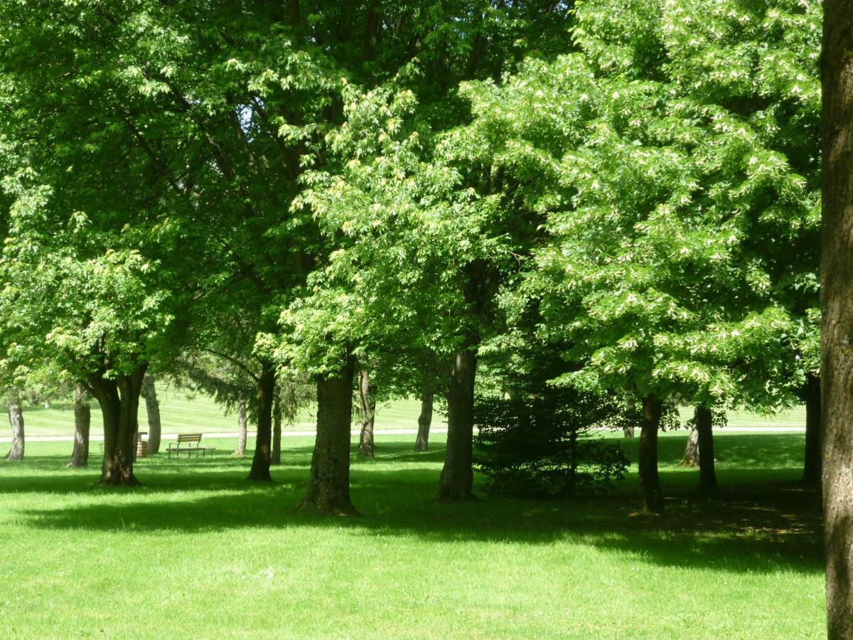 L'Oree Du Parc A ベルフォール エクステリア 写真